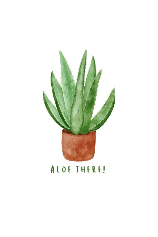 Aloe Love Oversized Tshirt