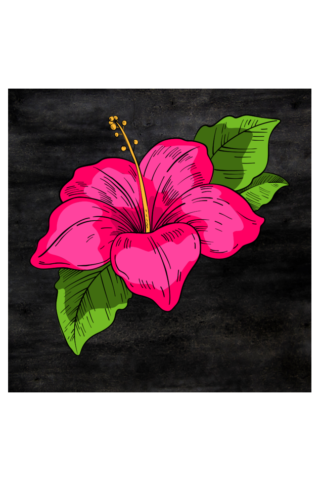 Hibiscus Floral Wall Art